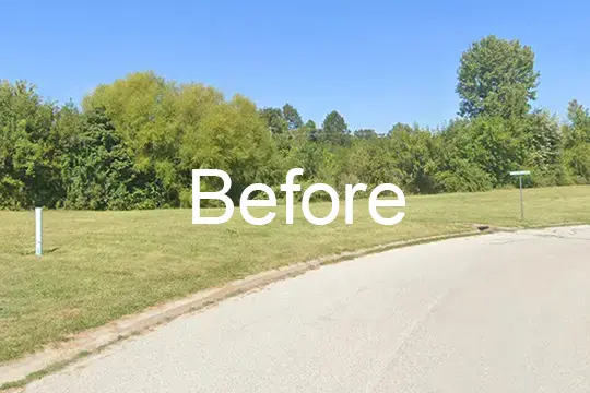 before forest mulch ofallon illinois