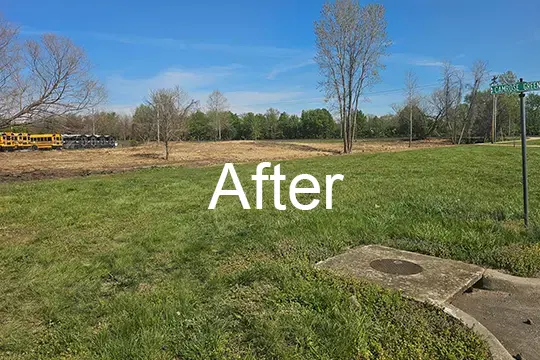 after forest mulch ofallon illinois